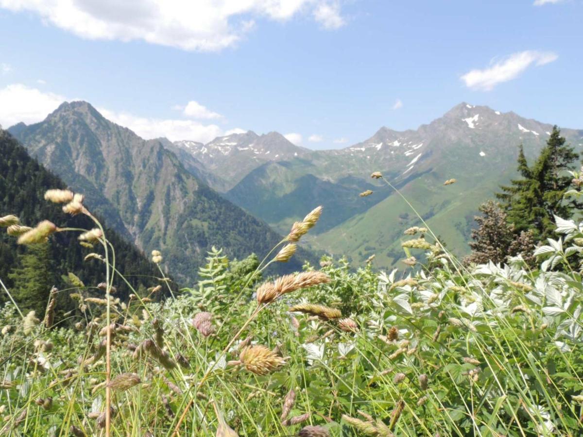Studio Pour 4 Personnes Au Centre De Cauterets, Proche Telecabines Et Thermes - Fr-1-234-269 Εξωτερικό φωτογραφία